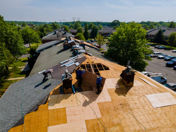 Best Flat Roof Repair Services  in Inkerman, PA