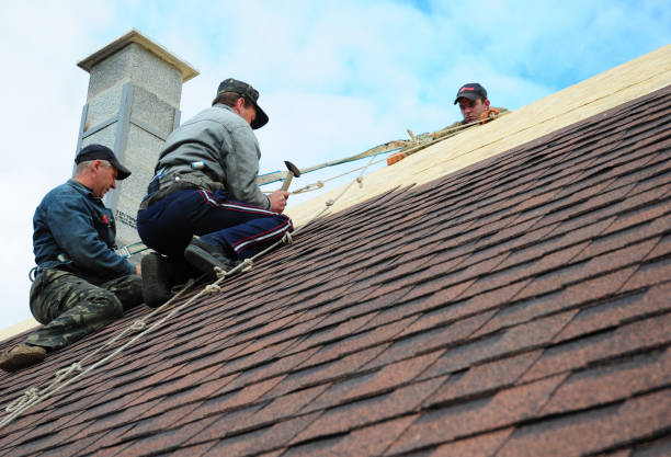 Best Shingle Roofing Installation  in Inkerman, PA